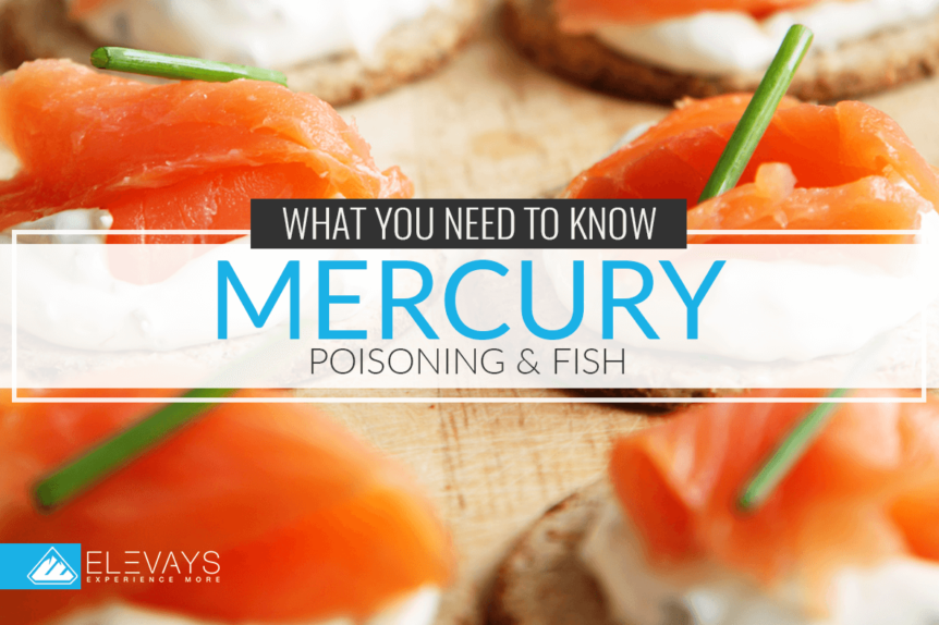 Effects Of Mercury Poisoning From Fish