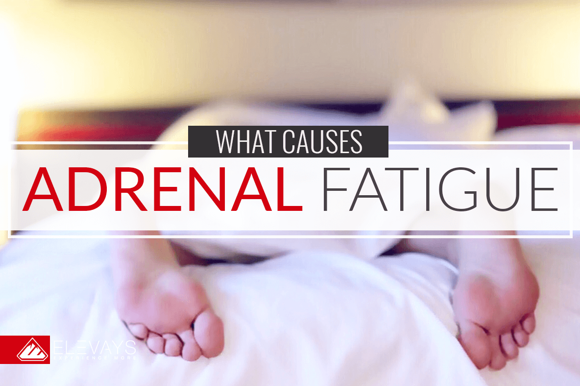 What Causes Adrenal Fatigue: The 4 Red Flags You Need to Know