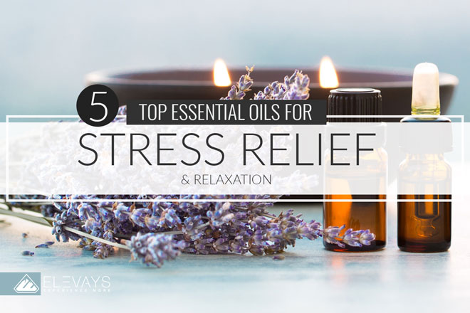 Looking for natural stress remedies? Or just wishing you knew how to stop stress? Essential oils for stress relief are probably the most underutilized stress buster you have access to and are one of the most relaxing things you can do when you're dealing with stress. So in this article, we're sharing the top 5 stress relief oils to help you deal with stress! Love bath relaxation? Click through to grab our diy essential oil recipe for a stress relief bath too! #essentialoils #naturalremedies