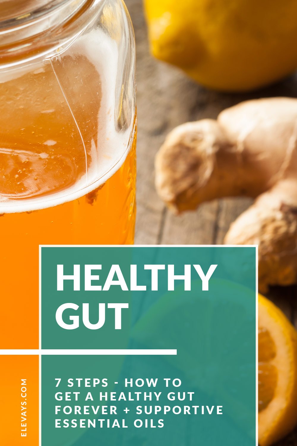 How to Get a Healthy Gut Forever + Supportive Essential Oils for Gut Health