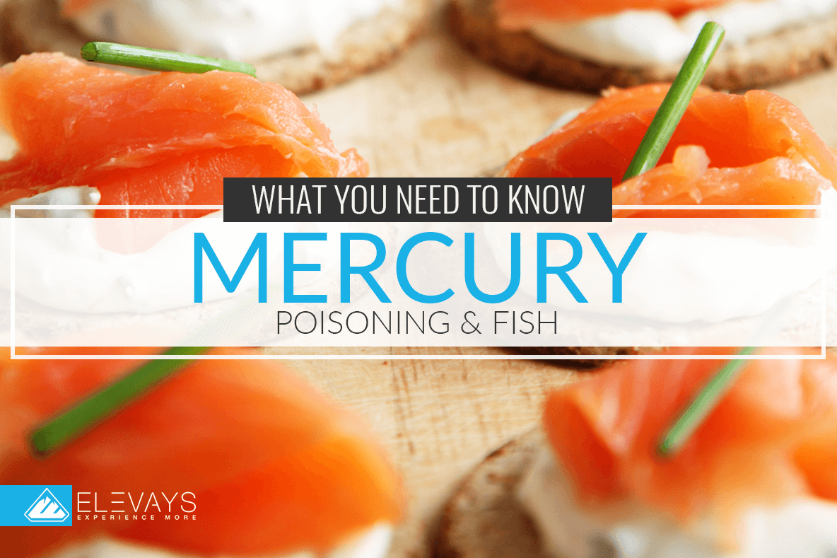 long term effects of mercury poisoning