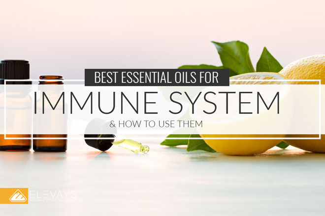 Best Essential Oils for Immune System Support