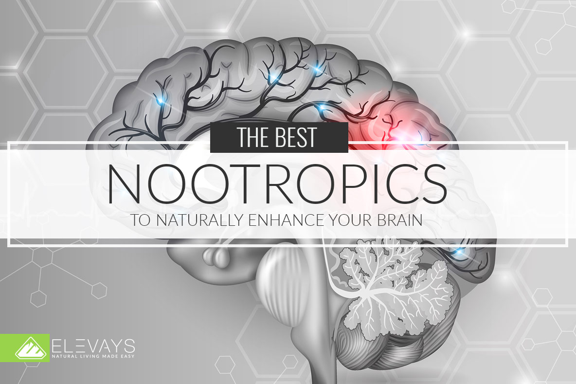 The Best Nootropics to Naturally Enhance Your Brain
