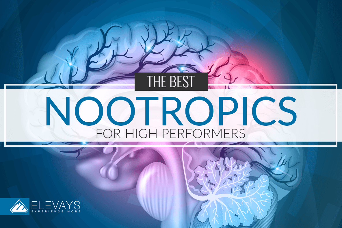 The Best Nootropics for High Performers