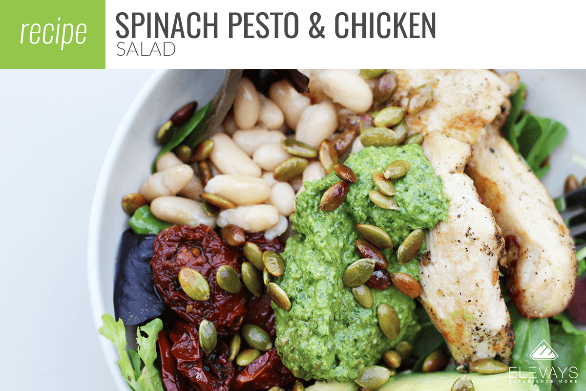 Spinach Pesto & Chicken Salad