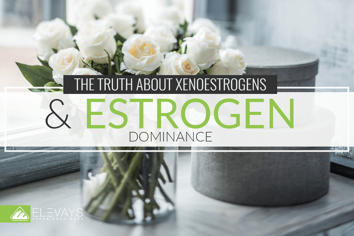 The Truth About Xenoestrogens and Estrogen Dominance
