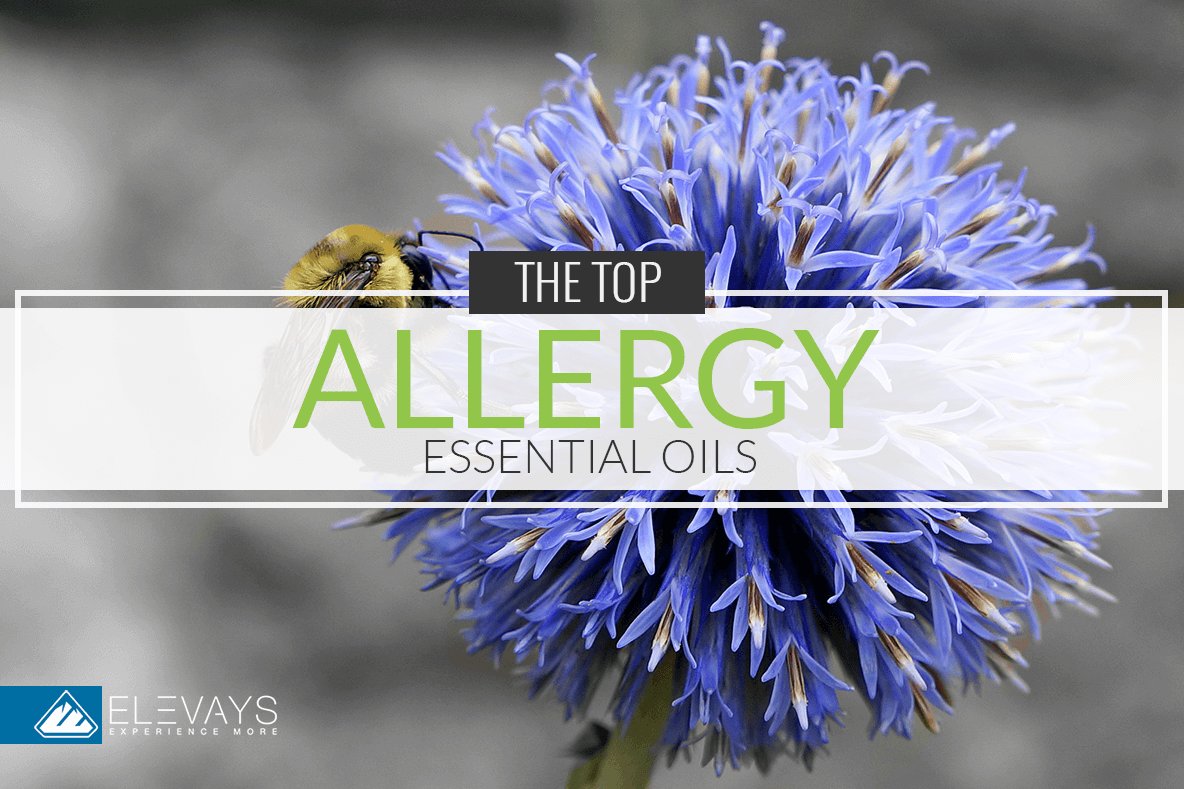 Essential Oils Allergies