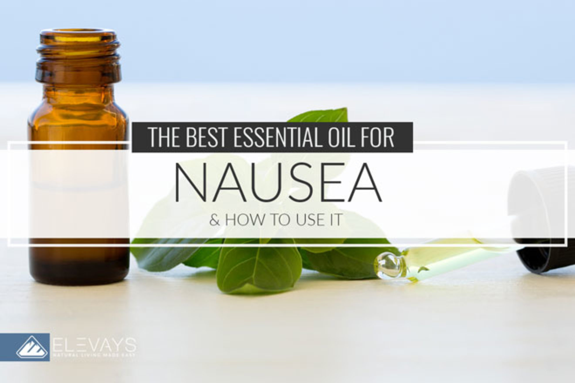 The Best Essential Oil For Nausea And How To Use It Elevays