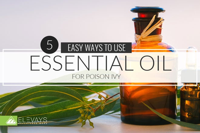 5 Easy Ways to Use Essential Oil for Poison Ivy