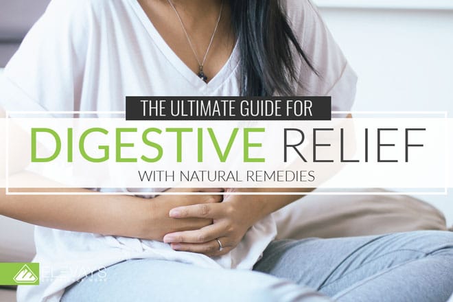 Digestive Relief Ultimate Guide