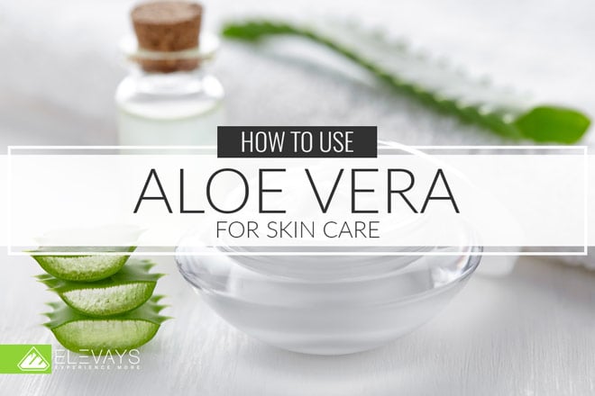 On the hunt for the best aloe vera gels? Aloe vera gel has tons of amazing benefits for your skin and we’ve narrowed it down to the top 5 natural brands for beautiful skin.