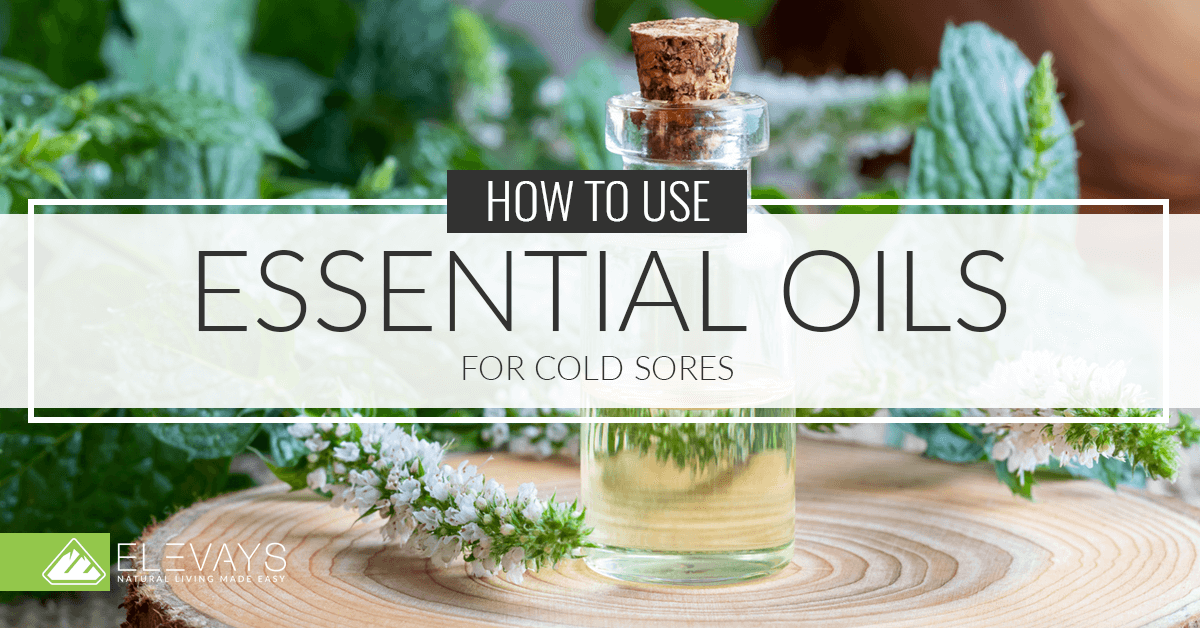 Natural Remedies for Healing Cold Sores :: plus two recipes!