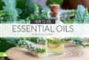 Essential Oils for Cold Sores