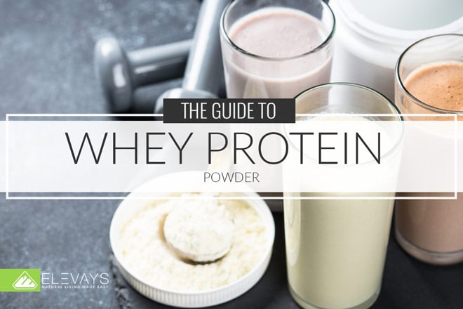 The Guide to Whey Protein Powder