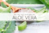 Aloe vera juice is here to help you with all your problems. Constipation? Yes. Sluggish liver? Yes. Immunity? Yup. Weight loss? You bet. Aging? Oh yeah! Find out all the benefits of a daily aloe vera drink. #aloevera #naturalremedies #healthyrecipes