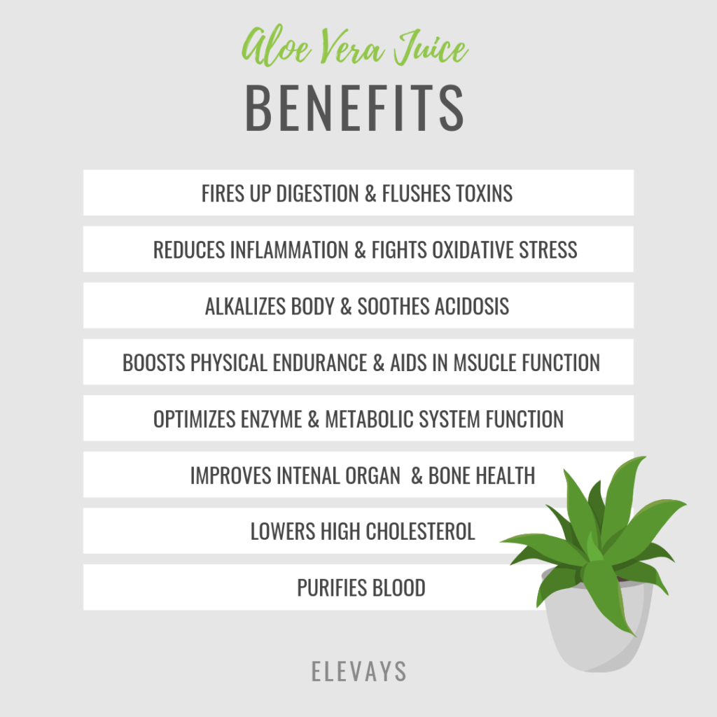 We Can’t Stop Drinking Aloe Vera - Here’s Why - Elevays