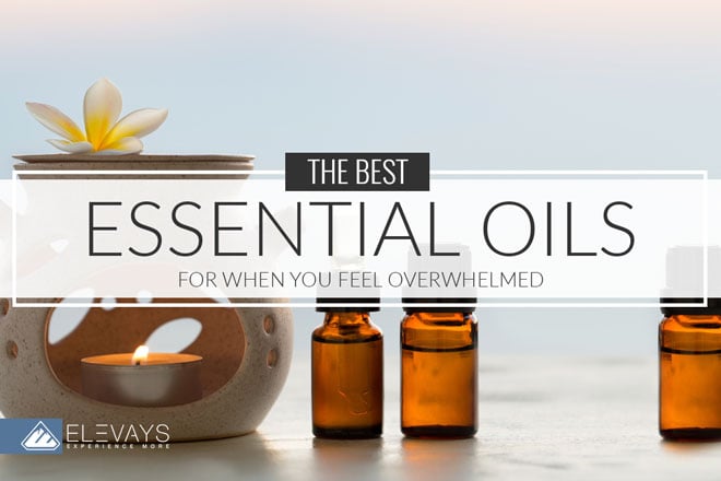 The Best Essential Oils for When You’re Overwhelmed