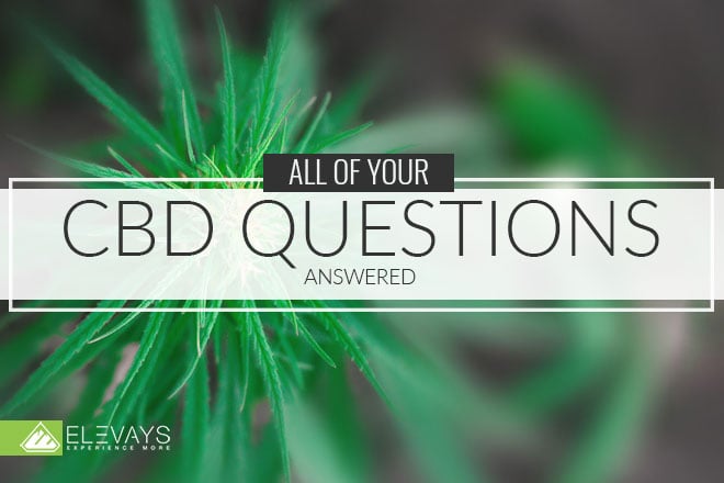 All of Your CBD Questions Answered
