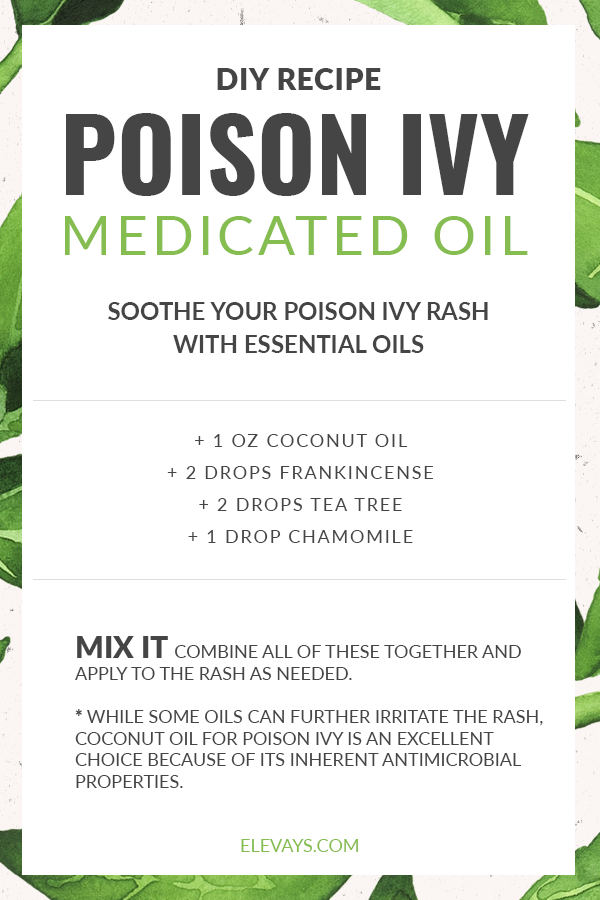Poison Ivy Medicated Oil Recipe