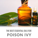 Essential Oils for Poison Ivy