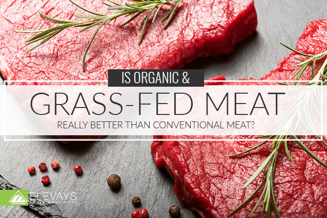 Is Grass-fed & Organic Meat Really Better Than Conventional Meat?