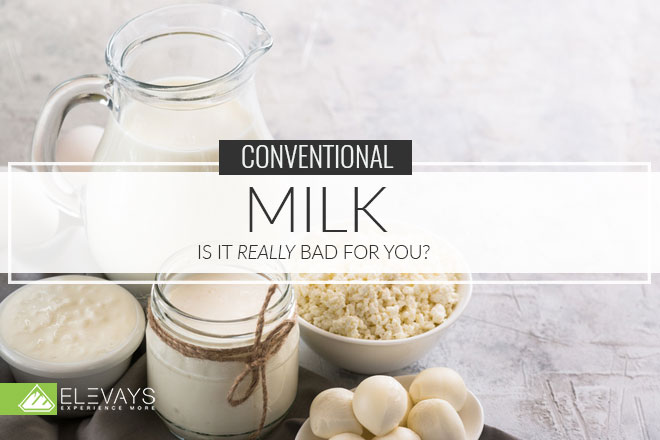 Is Milk Really Bad For You?