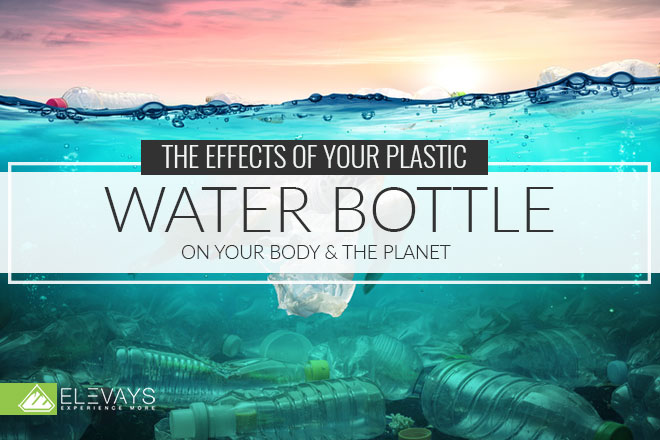 You probably know the impact that plastic water bottles have on the environment, I mean most of us do, but most of us continue to choose to ignore it because we don’t physically see the effects. We are beginning to feel the effects though. Plastic water bottles are overflowing landfills and covering the ocean. #plasticwaterbottles #plastic #nontoxic
