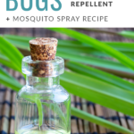 The Best Essential Oils for Bugs + Mosquito Repellent Spray DIY Oil Recipe
