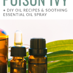 The Best Essential Oils for Poison Ivy + DIY Oil Recipes & Soothing Essential Oil Spray