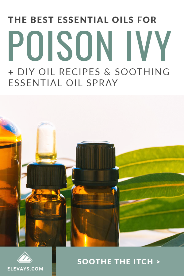The Best Essential Oils for Poison Ivy + DIY Oil Recipes & Soothing Essential Oil Spray