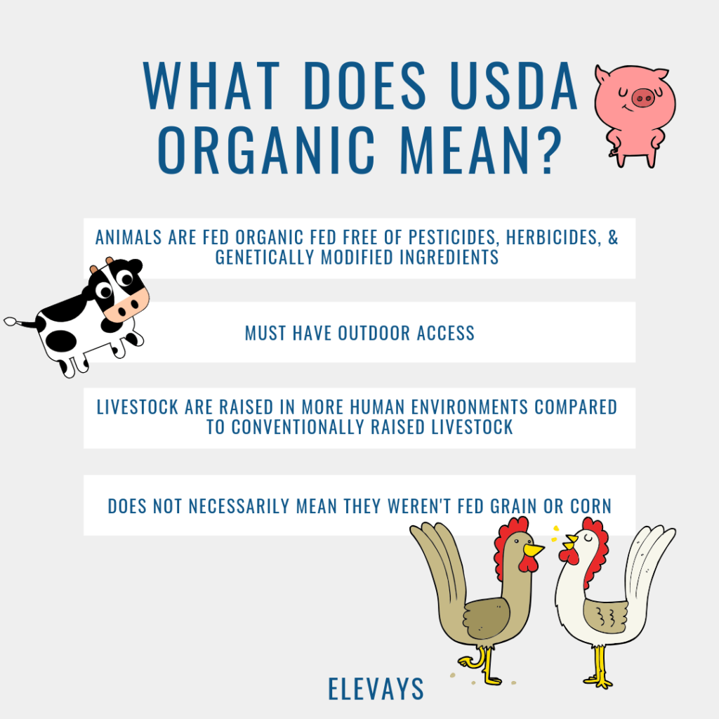 Is Grass-fed & Organic Meat Really Better Than Conventional Meat? - Elevays