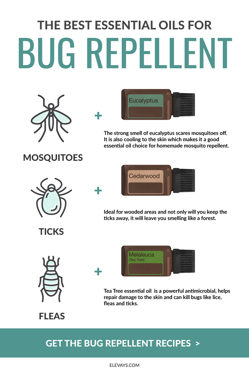 The Best Essential Oils for Bug Repellent + Mosquito Spray Repellent Recipe