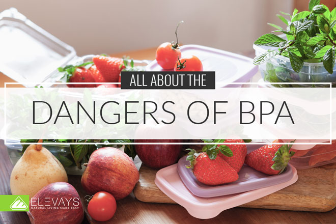 All About the Dangers of BPA 