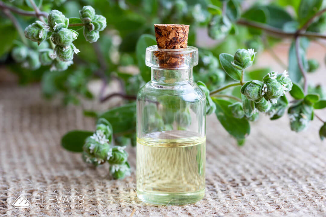 Chapter 1 - What are Essential Oils
