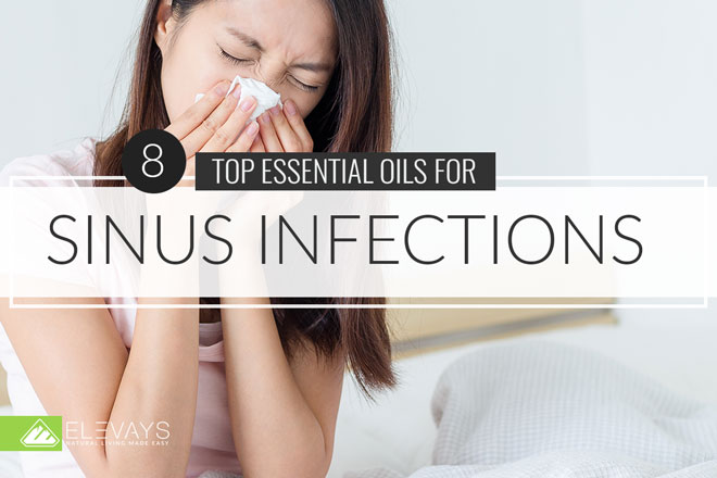 Top 8 Essential Oils for Sinus Infections