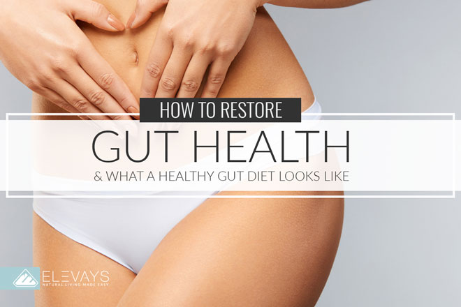 Healthy Gut Diet & How to Restore Gut Health