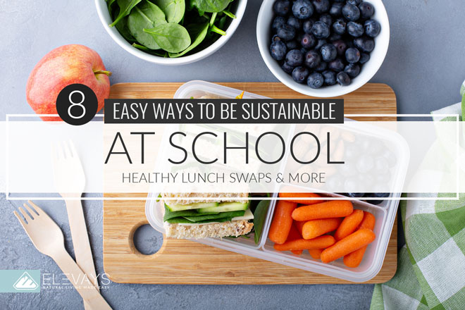 8 Easy Ways to Practice Sustainability at School