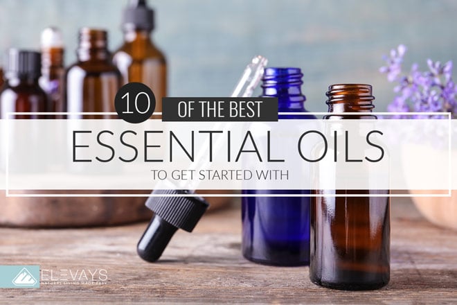 10 of the Best Essential Oils to Get Started With