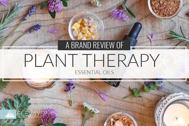 Brand Review: Plant Therapy Essential Oils