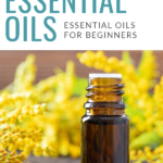 How to Get Started With Essential Oils - Essential Oils for Beginners