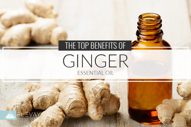 10 Benefits of Ginger Essential Oil