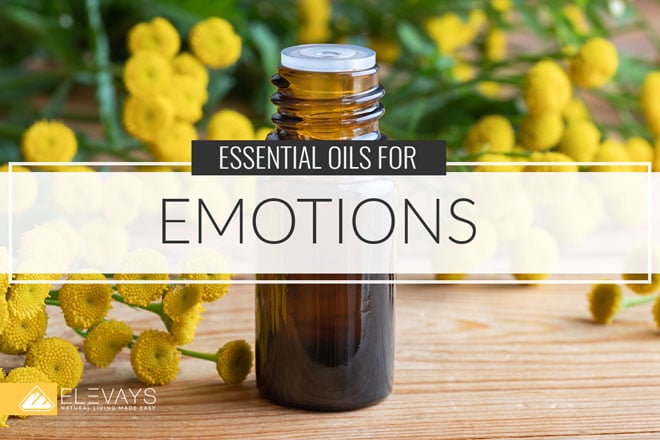 Essential Oils for Emotions + DIY Oil Recipes