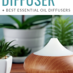 How to Clean a Diffuser Pinterest Pin
