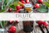 How to Dilute Essential Oils