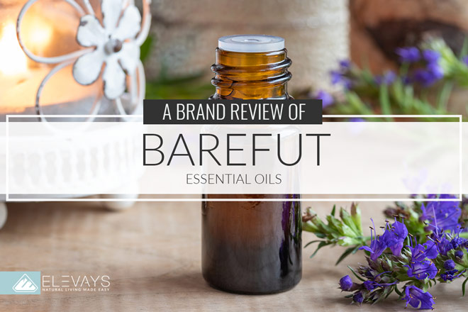 Brand Review: Barefut