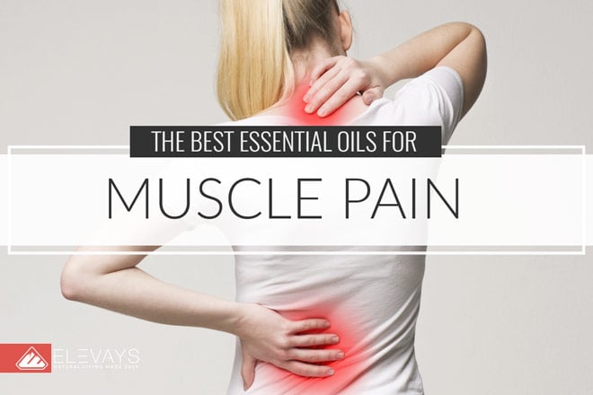 The Best Essential Oils for Muscle Pain
