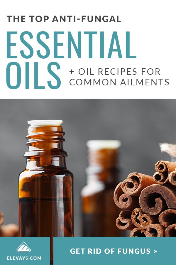 Pinterest Pin The Top Essential Oils for Fungus