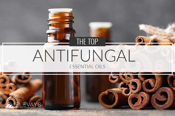 The Top Antifungal Essential Oils