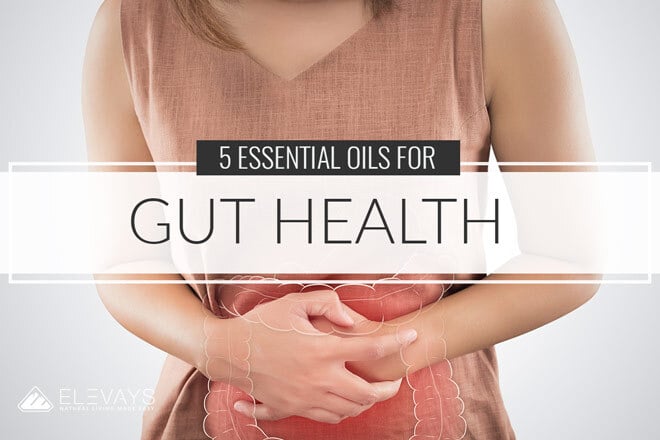 5 Essential Oils for Gut Health