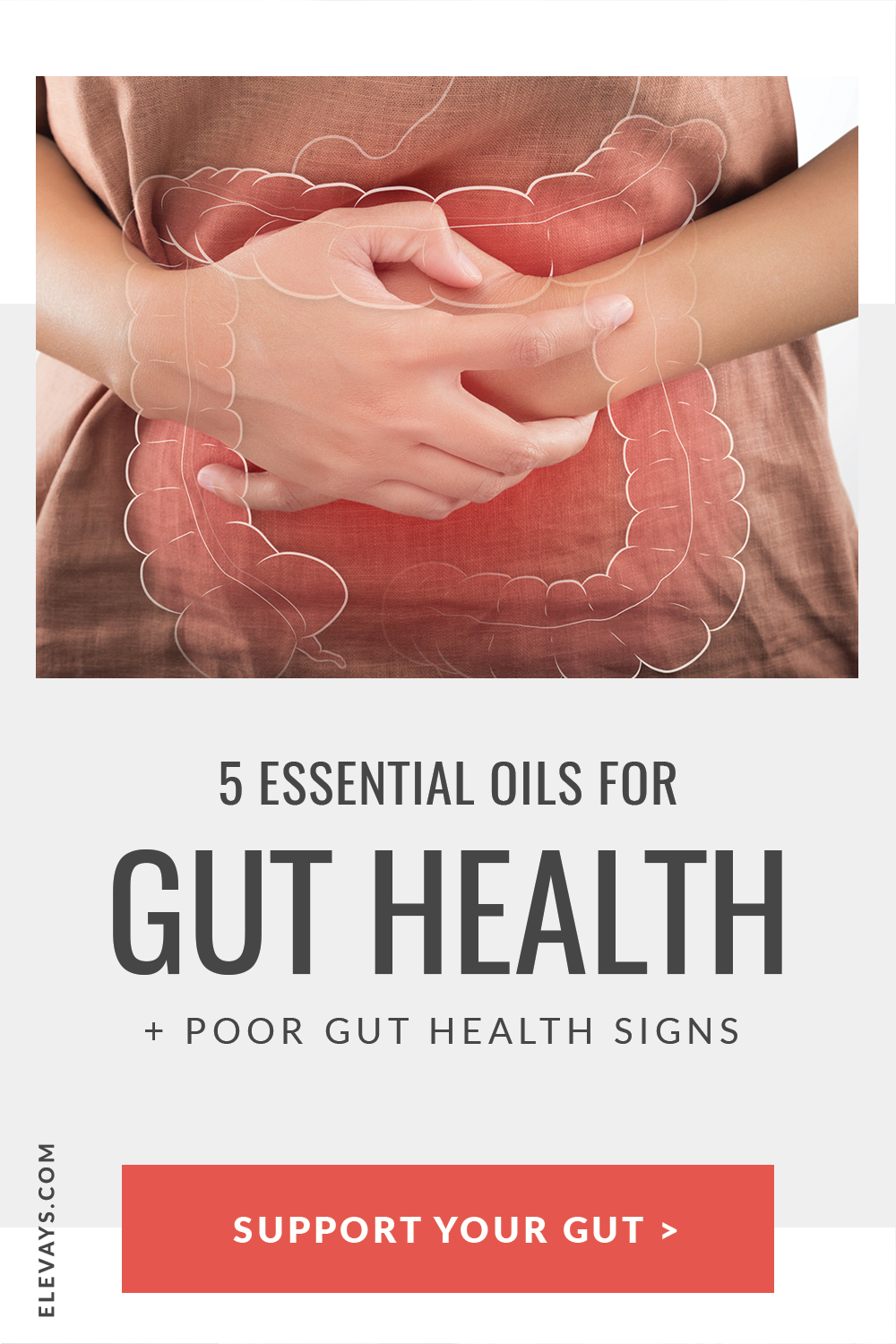 5 Essential Oils for Gut Health + Signs of Poor Gut Health